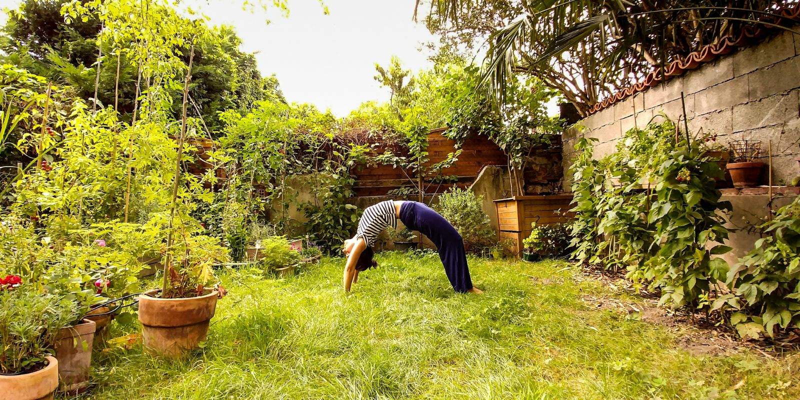yoga jardin des plantes toulouse alice