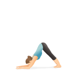 dauphin ardha pincha mayurasana